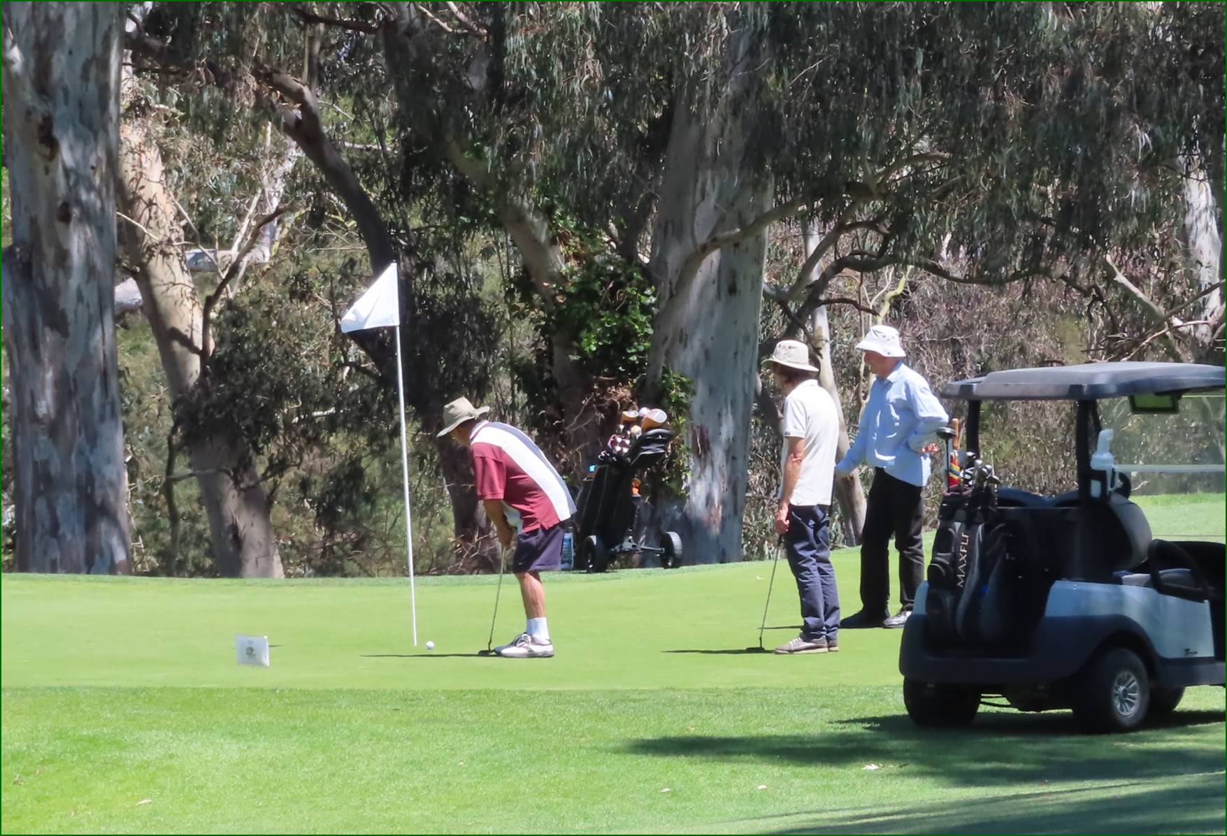 A group of people playing golf

Description automatically generated